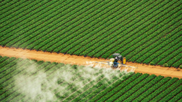 Best Mosquito Control Services  in Riverview, DE