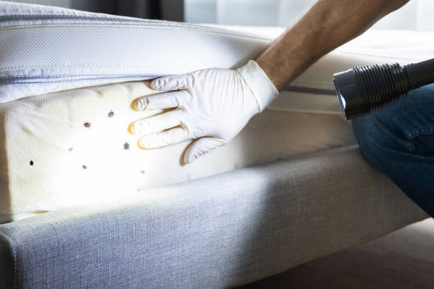 Best Best Pest Control Companies  in Riverview, DE
