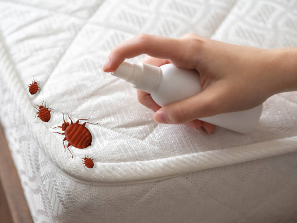 Best Affordable Pest Control Services  in Riverview, DE